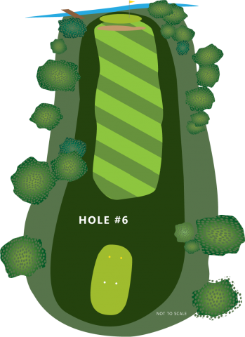 Hole 6 Illustration