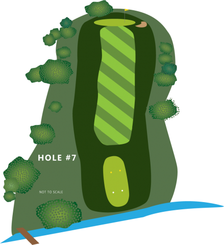 Hole 7 Illustration