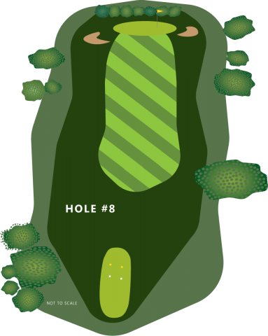 Hole 8 Illustration